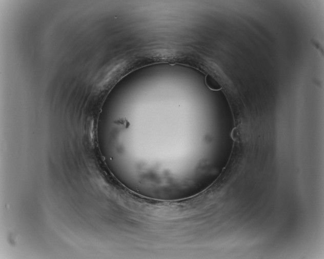 X0000100360024200806061149