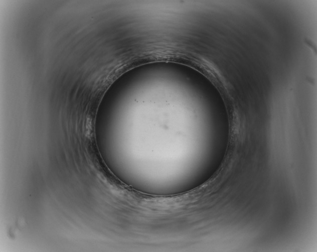 X0000100360025200806061149