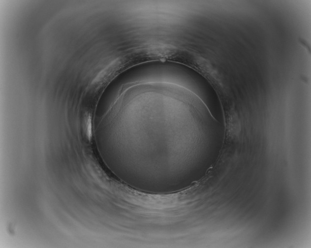 X0000100360027200806061149