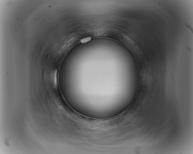 X0000100360028200806061149