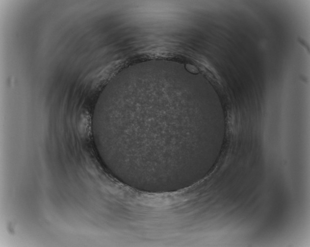 X0000100360029200806061149