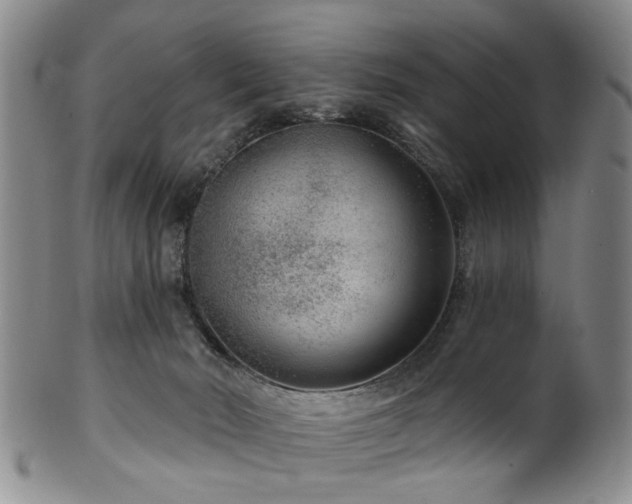 X0000100360030200806061149