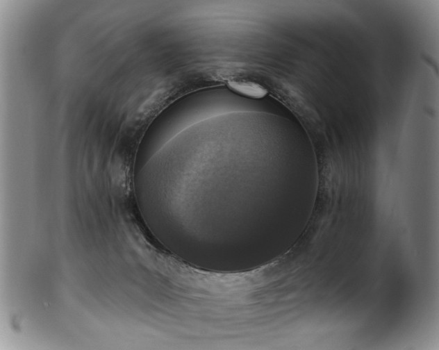 X0000100360031200806061149