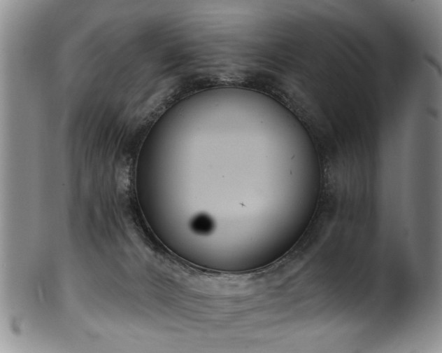 X0000100360032200806061149