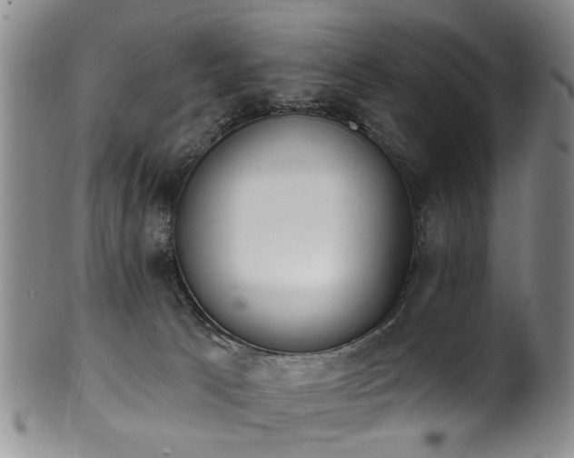 X0000100360033200806061149