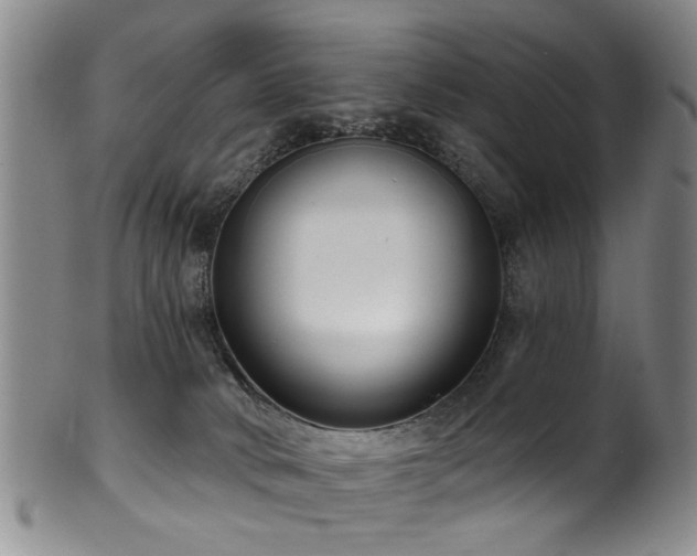 X0000100360034200806061149