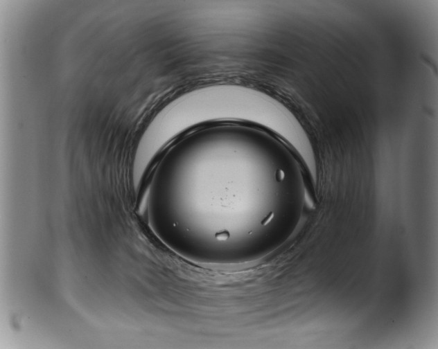 X0000100360035200806061149