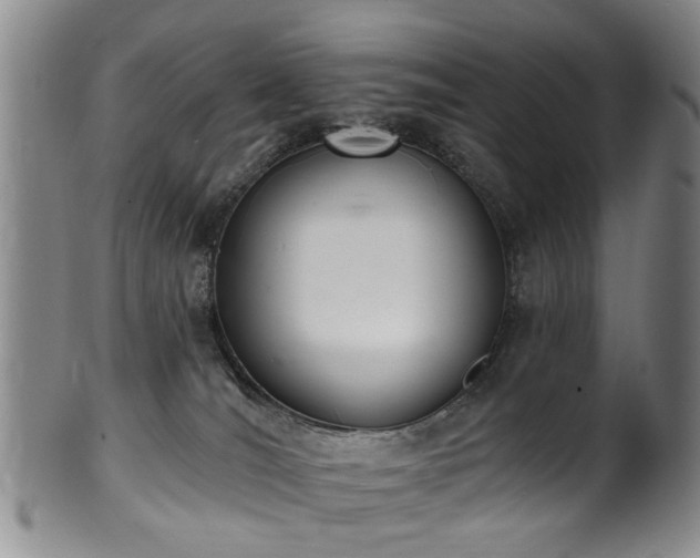 X0000100360036200806061149