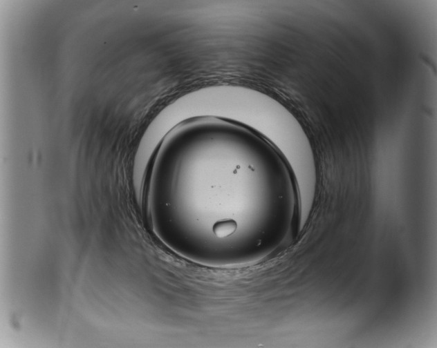 X0000100360037200806061149