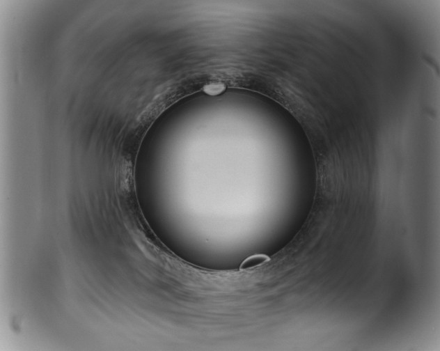 X0000100360038200806061149