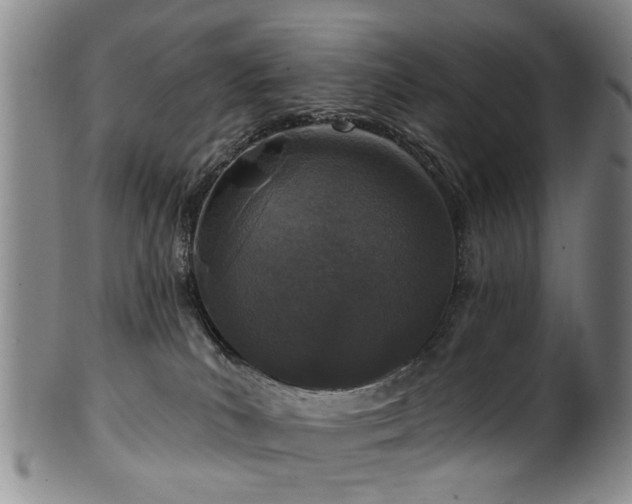 X0000100360039200806061149