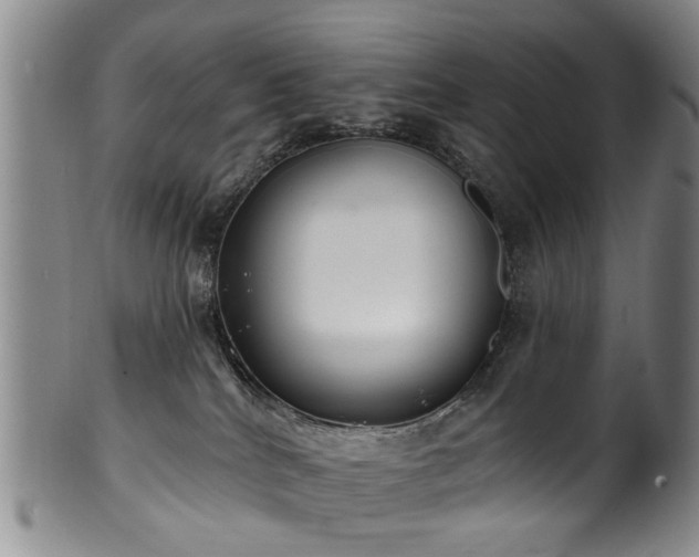 X0000100360040200806061149