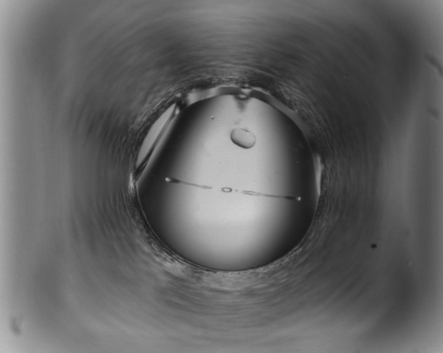 X0000100360041200806061149