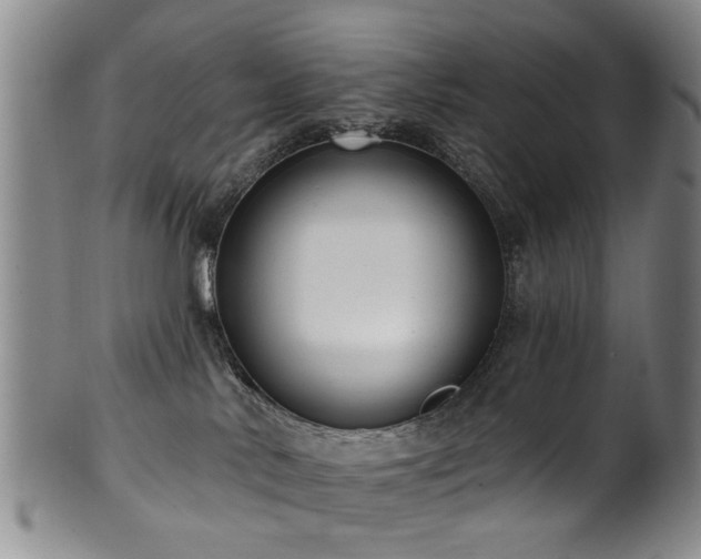 X0000100360042200806061149