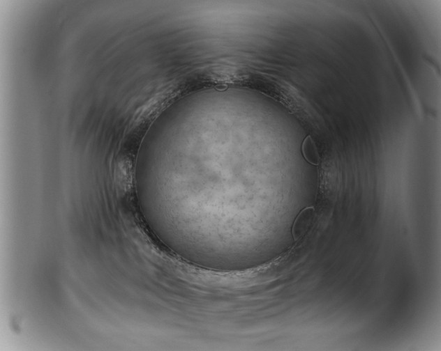 X0000100360043200806061149