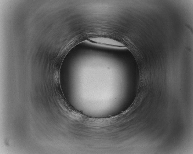 X0000100360045200806061149