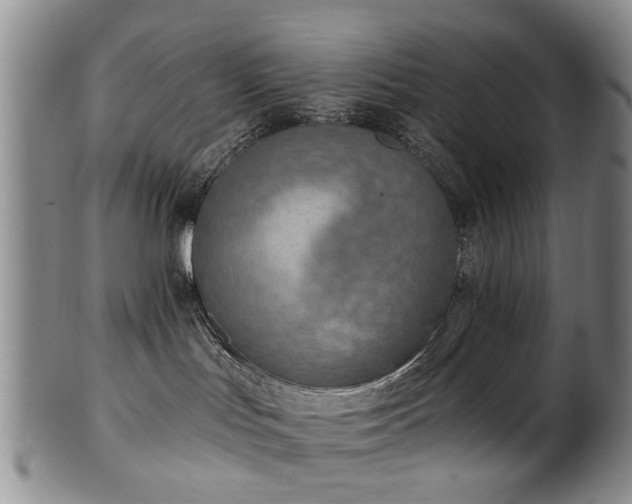 X0000100360047200806061149