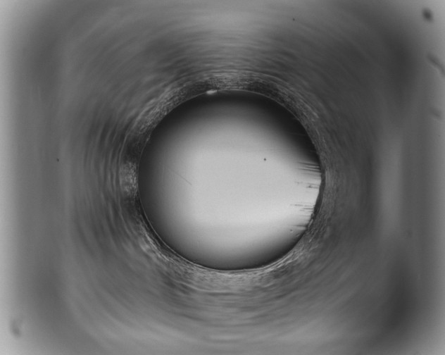 X0000100360048200806061149