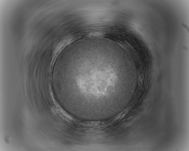 X0000100360049200806061148