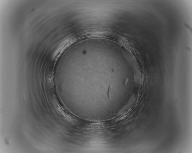 X0000100360050200806061148