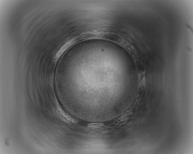 X0000100360051200806061148