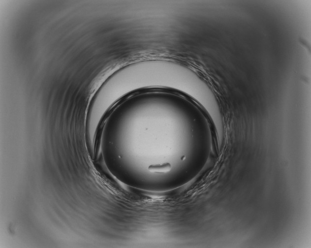 X0000100360052200806061148