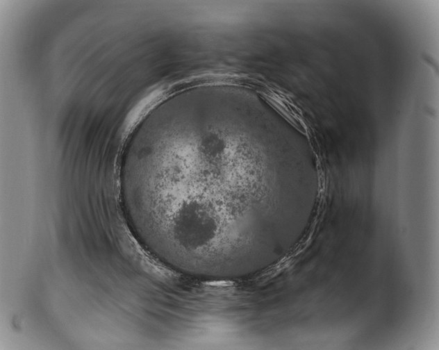 X0000100360053200806061148