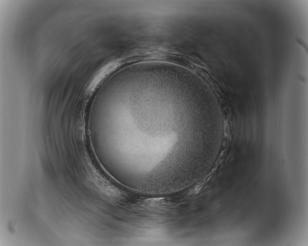 X0000100360054200806061148