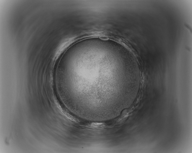 X0000100360055200806061148