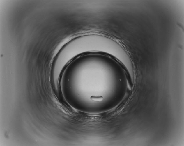 X0000100360056200806061148