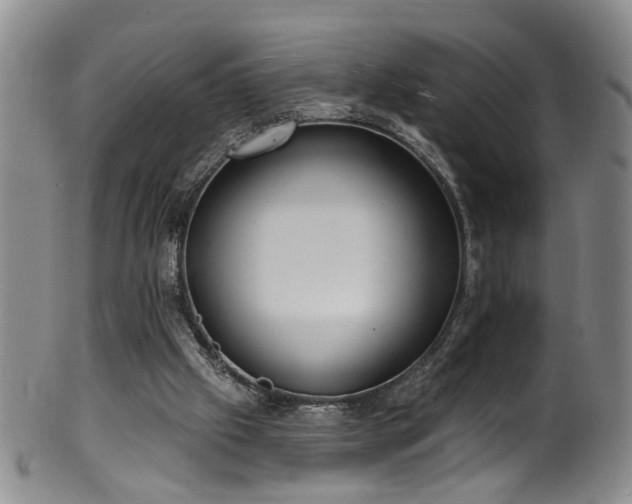 X0000100360057200806061148