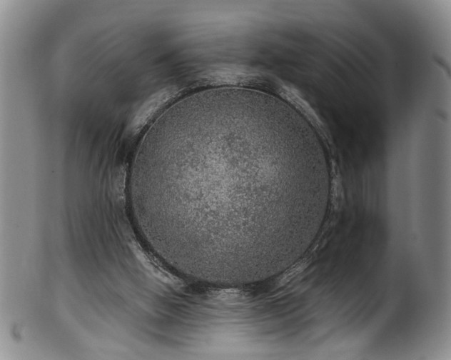 X0000100360058200806061148