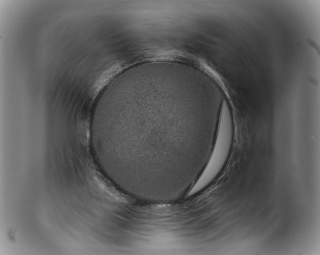 X0000100360059200806061148