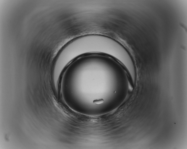 X0000100360060200806061148