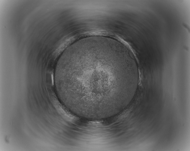 X0000100360061200806061148