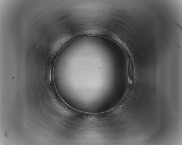 X0000100360062200806061148