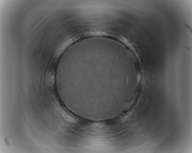 X0000100360063200806061148