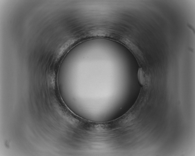 X0000100360064200806061148