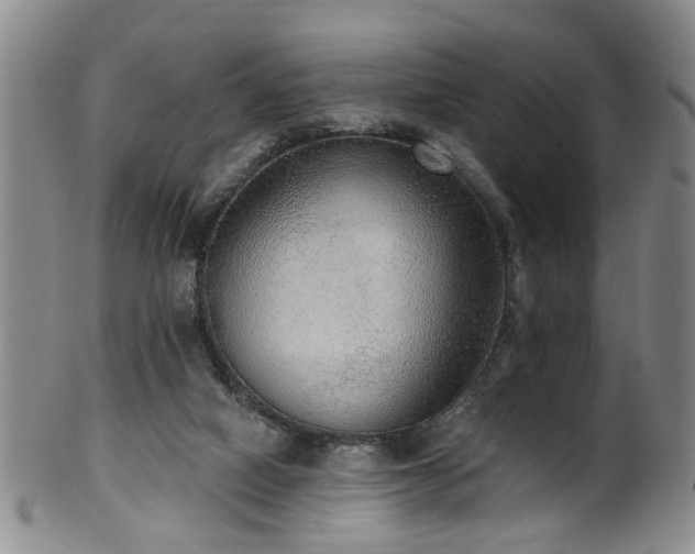 X0000100360066200806061148