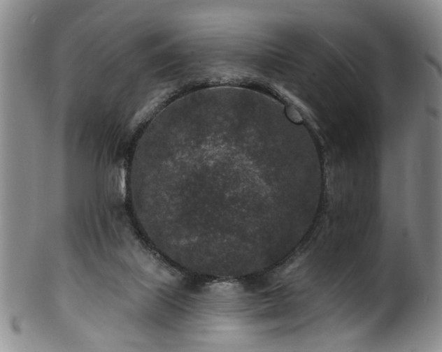 X0000100360067200806061148