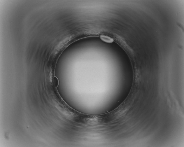 X0000100360068200806061148