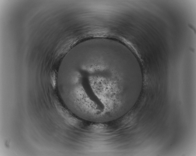 X0000100360069200806061148