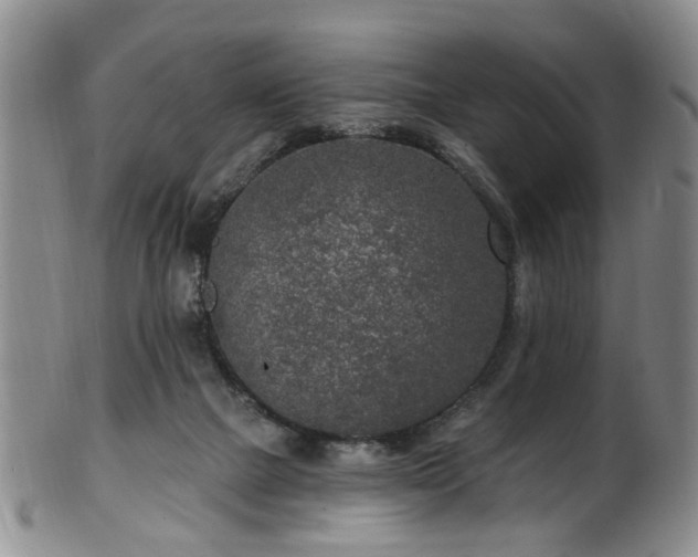 X0000100360073200806061148