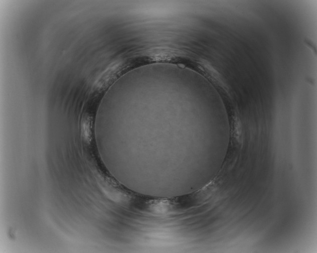 X0000100360074200806061148