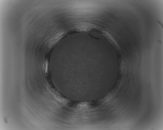 X0000100360076200806061148