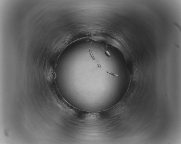 X0000100360077200806061148