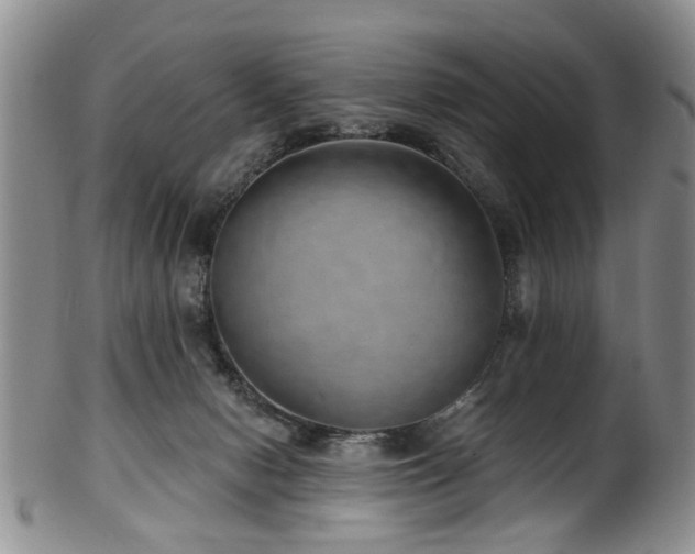 X0000100360078200806061148