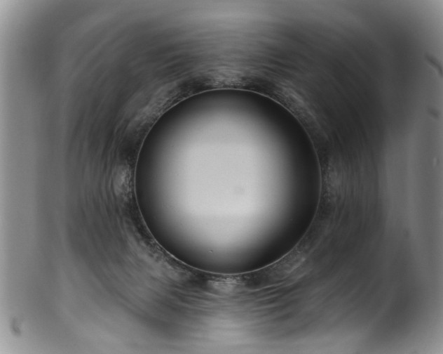 X0000100360079200806061149