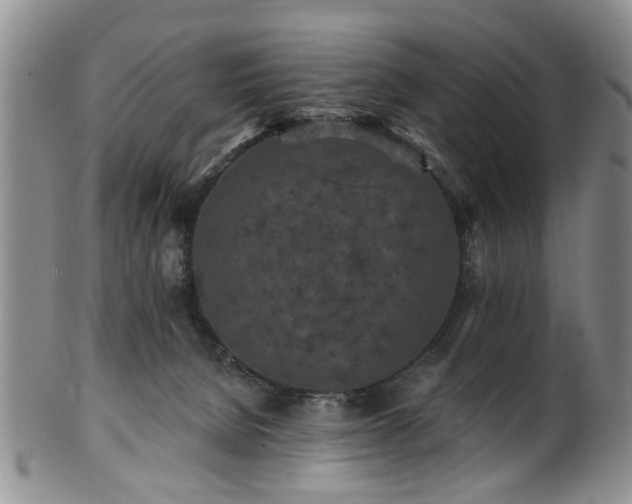 X0000100360080200806061149