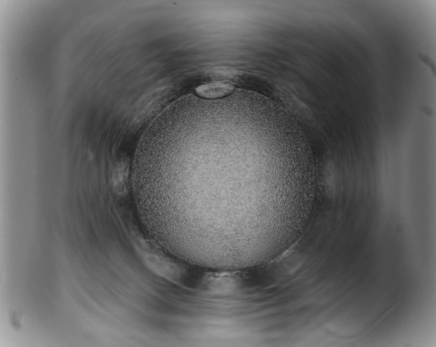 X0000100360082200806061149